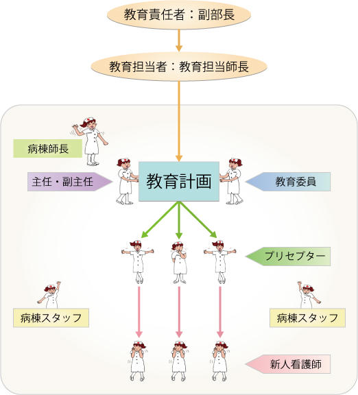 新人教育体系図