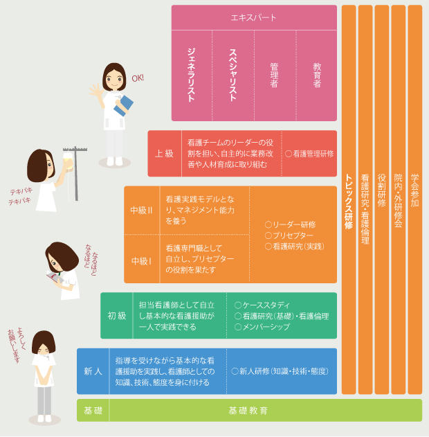 教育構造